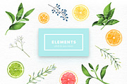 Watercolor Citrus Set, an Object Graphic by Kotulska (Thumbnail 2 of 4)