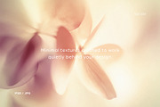 Harmony – Soft Focus Backgrounds, a Texture Graphic by Filip Studio (Thumbnail 5 of 8)