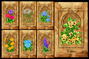 Enchanted flowers tarot deck, a Decorative Illustration by Samiramay (Thumbnail 11 of 12)