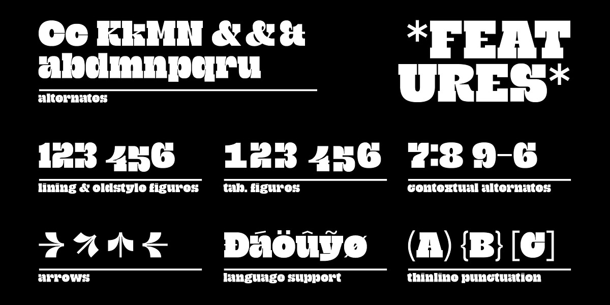 Grantig, a Slab Serif Font by Julien Fincker (Photo 10 of 12)