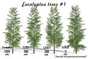 Eucalyptus tree #1, an Environmental 3D Model by AndrewWhite (Thumbnail 1 of 13)