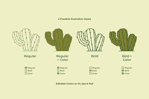 Cactus / Cacti Line Illustration