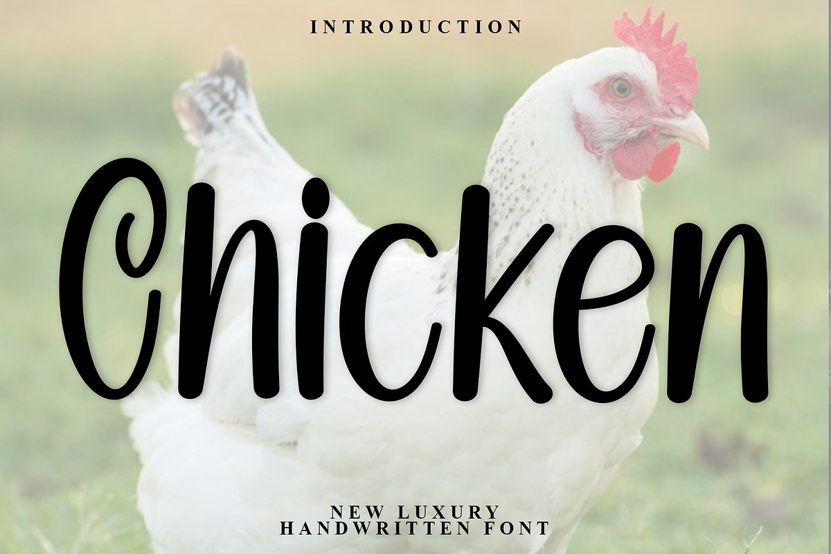 Chicken, a Handwritten Font by FreshTypeINK (Photo 1 of 8)