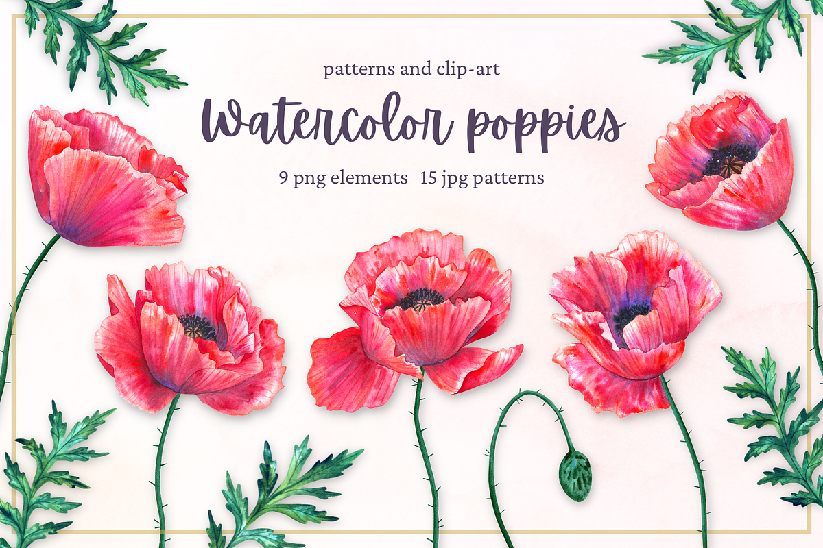 Watercolor poppies, an Illustration by TaityG (Photo 1 of 7)
