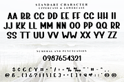 Varcity, a Script Font by InermediaSTUDIO (Thumbnail 8 of 8)