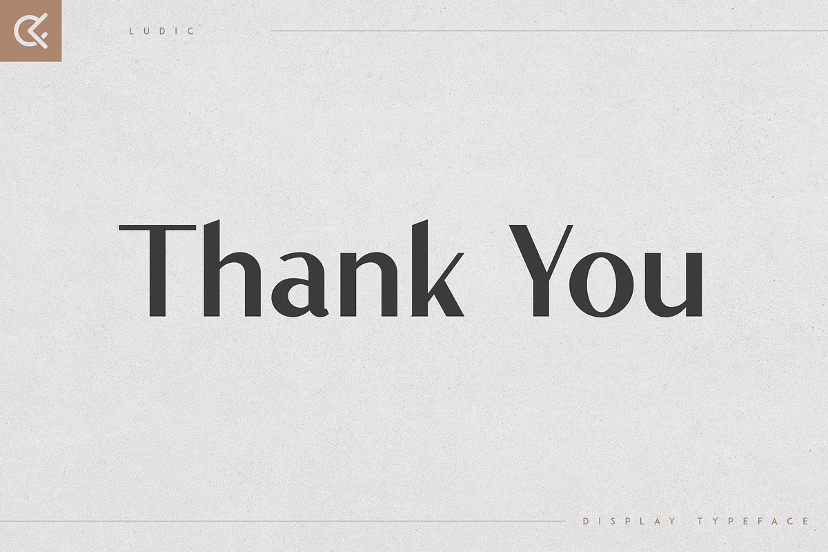 Ludic - Display Vintage Font, a Font by Only Fonts (Photo 10 of 10)