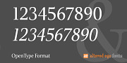 Veritas AE, a Serif Font by Altered Ego Fonts (Thumbnail 3 of 5)