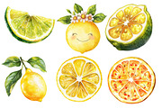 Summer Lemon Clipart, an Illustration by Designworld (Thumbnail 5 of 5)