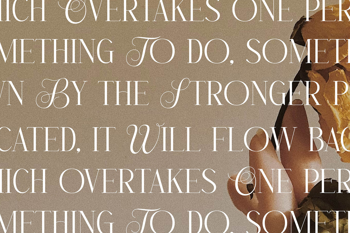Menasha Brown New Hybrid Typeface, a Serif Font by Storytype Studio (Photo 5 of 15)