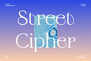 CS Relish Drawn, a Serif Font by Craft Supply Co. (Thumbnail 3 of 8)