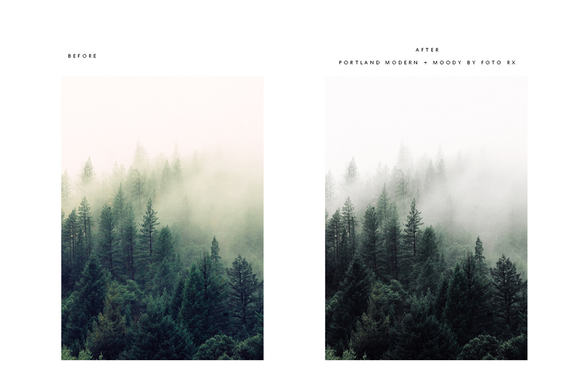 Modern Moody Photoshop Actions, an Action Add-On by Foto Rx Co. (Photo 7 of 9)