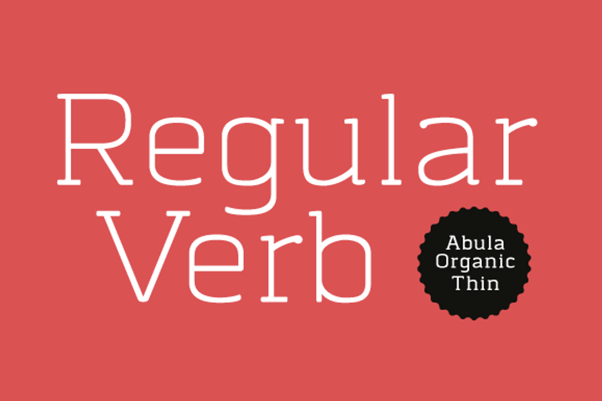 Abula (Update v1.1), a Slab Serif Font by Typesketchbook Foundry (Photo 5 of 5)