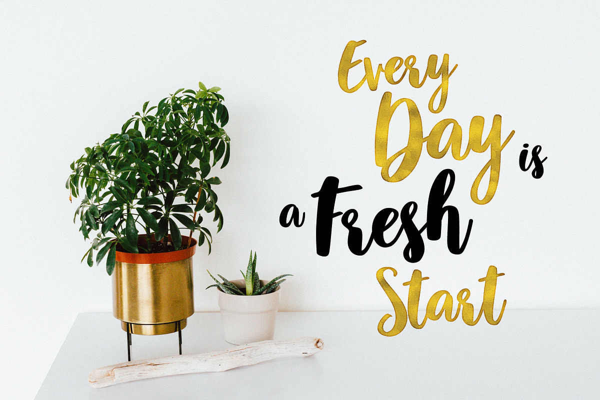 Vision bold script font preview 4