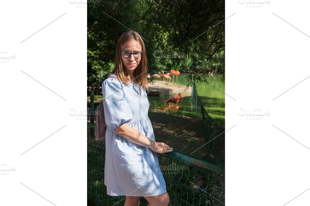 Woman at Zoo Watching Flamingos by, a Graphic by Jan Jack Russo Media