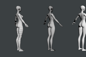 Stylized Female 02 Fine Shape Mesh