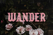 Premium Font Bundle, a Script Font by Flycatcher Design (Thumbnail 30 of 140)