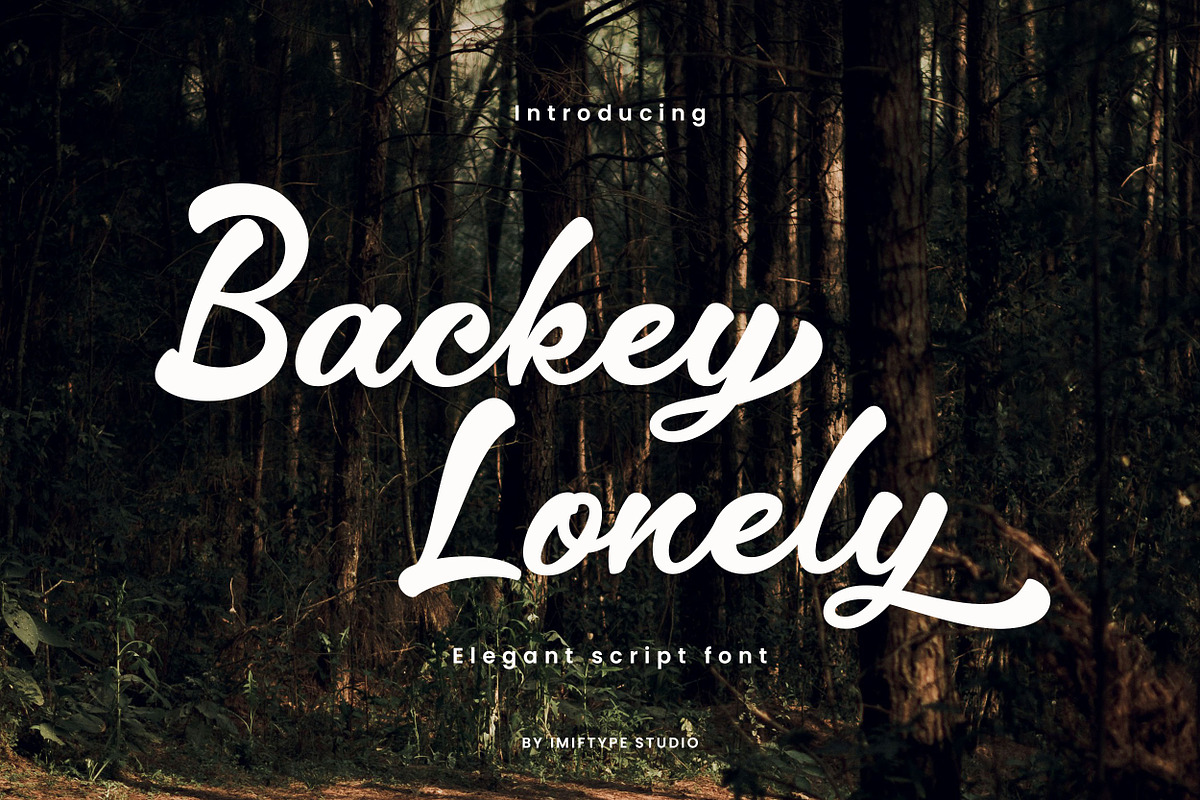 Backey Lonely – Retro Script Font, a Script Font by Imiftype Studio (Photo 1 of 10)