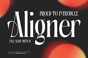 Aligner Tall Modern Serif Display, a Serif Font by timelesstype.co (Thumbnail 1 of 20)
