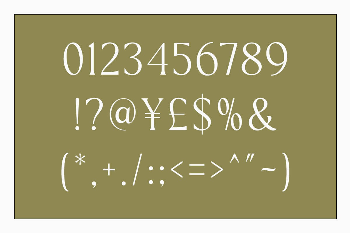 Academia - Modern Stylish, a Serif Font by RockboyStd (Photo 9 of 12)