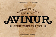 Avlnur - Serif Display Font, a Sans Serif Font by trabaskriya (Thumbnail 1 of 8)
