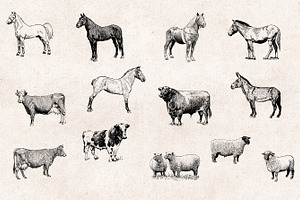 Farm Animals Engravings Set