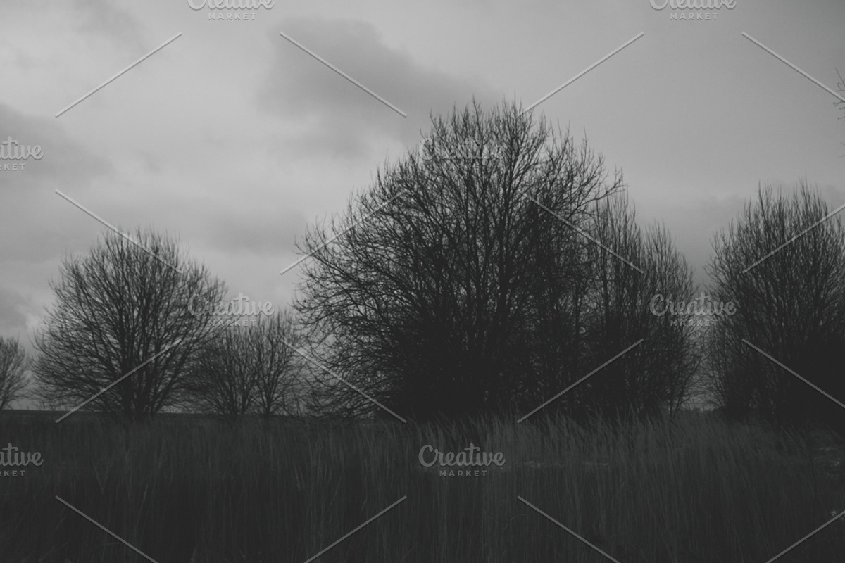 Mood collection, a Photo by Alekseyliss (Photo 12 of 21)