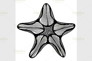 Black Contour Starfish Illustration.