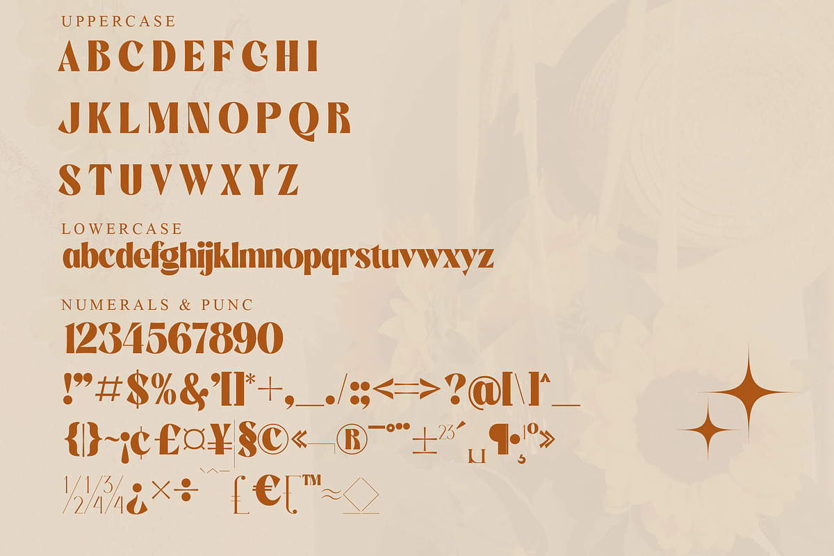 Negoka Modern Display Font, a Sans Serif Font by Storytype Studio (Photo 16 of 18)