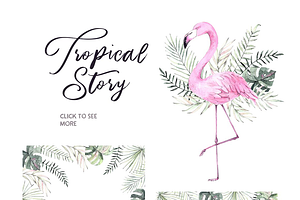 Tropical Story. All About Flamingo