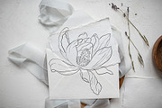 Flowers Line Arts Clipart, an Illustration by natalisart (Thumbnail 6 of 11)