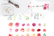 Variety of  Roses, an Illustration by JennyColorArt (Thumbnail 4 of 9)