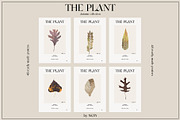 The PLANT. Autumn collection, a Pattern Graphic by NKTN (Thumbnail 15 of 18)