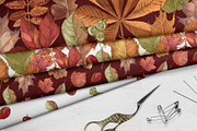 Fall in love - seasonal collection, an Object Illustration by handsketched (Thumbnail 2 of 10)
