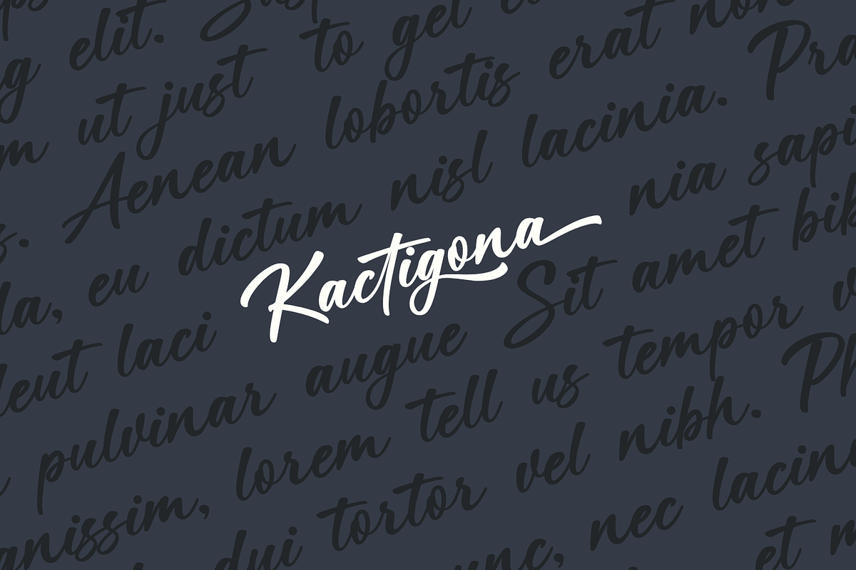 Kactigona – Bold Handwritten Font, a Script Font by Basnistudio (Photo 3 of 12)