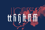Sansterdam Bold and Thin, a Sans Serif Font by NREY (Thumbnail 6 of 6)