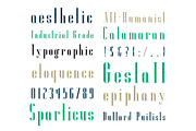 A La Mode, a Font by Loudoun Design Co. (Thumbnail 4 of 5)