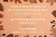 Quails | A Modern Display Serif, a Serif Font by Andrimada Creative (Thumbnail 11 of 13)