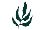 Vector Seaweed Graphics, a Background Graphic by Dorey Kronick Art&Design (Thumbnail 6 of 9)