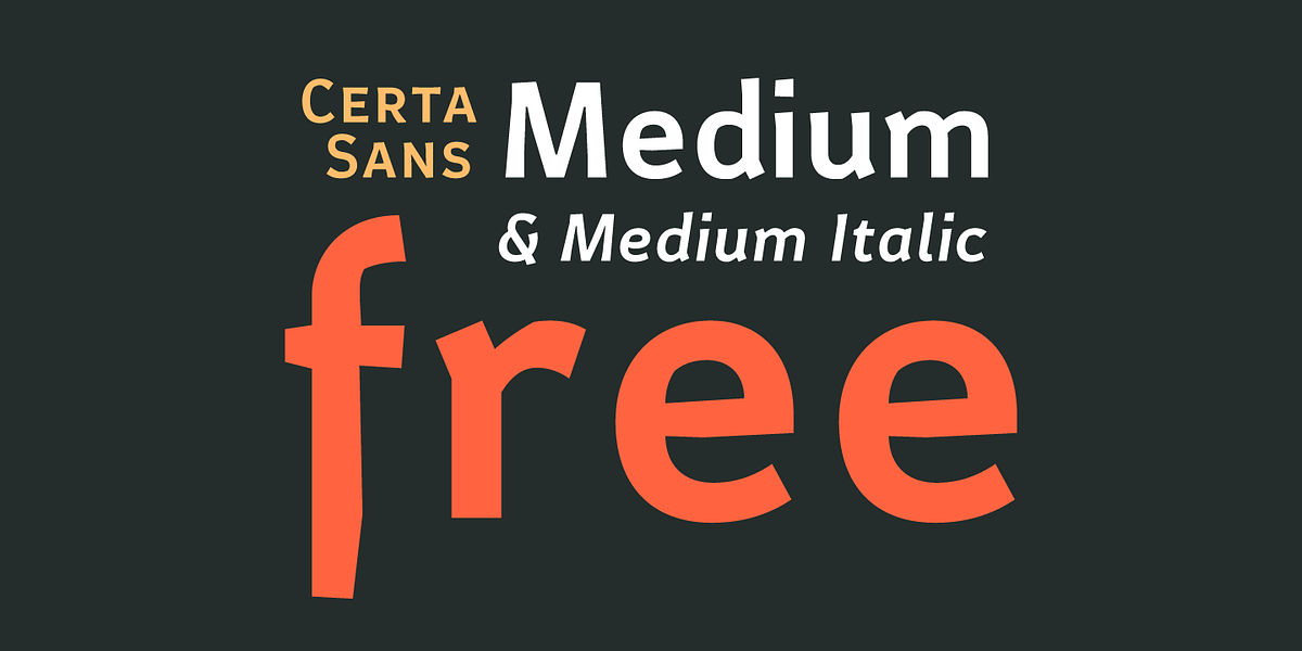 Certa Sans, a Sans Serif Font by Glen Jan (Photo 10 of 10)