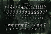Artecallya, a Script Font by GlottaTypeface (Thumbnail 7 of 8)