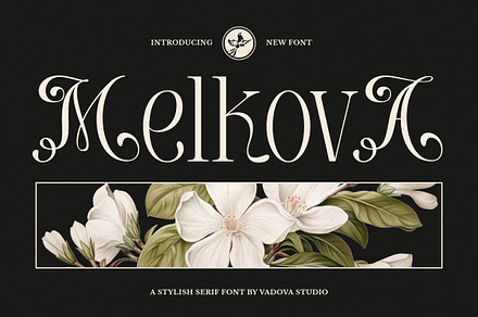 Melkova Serif Font, a Serif Font by Vadovastd