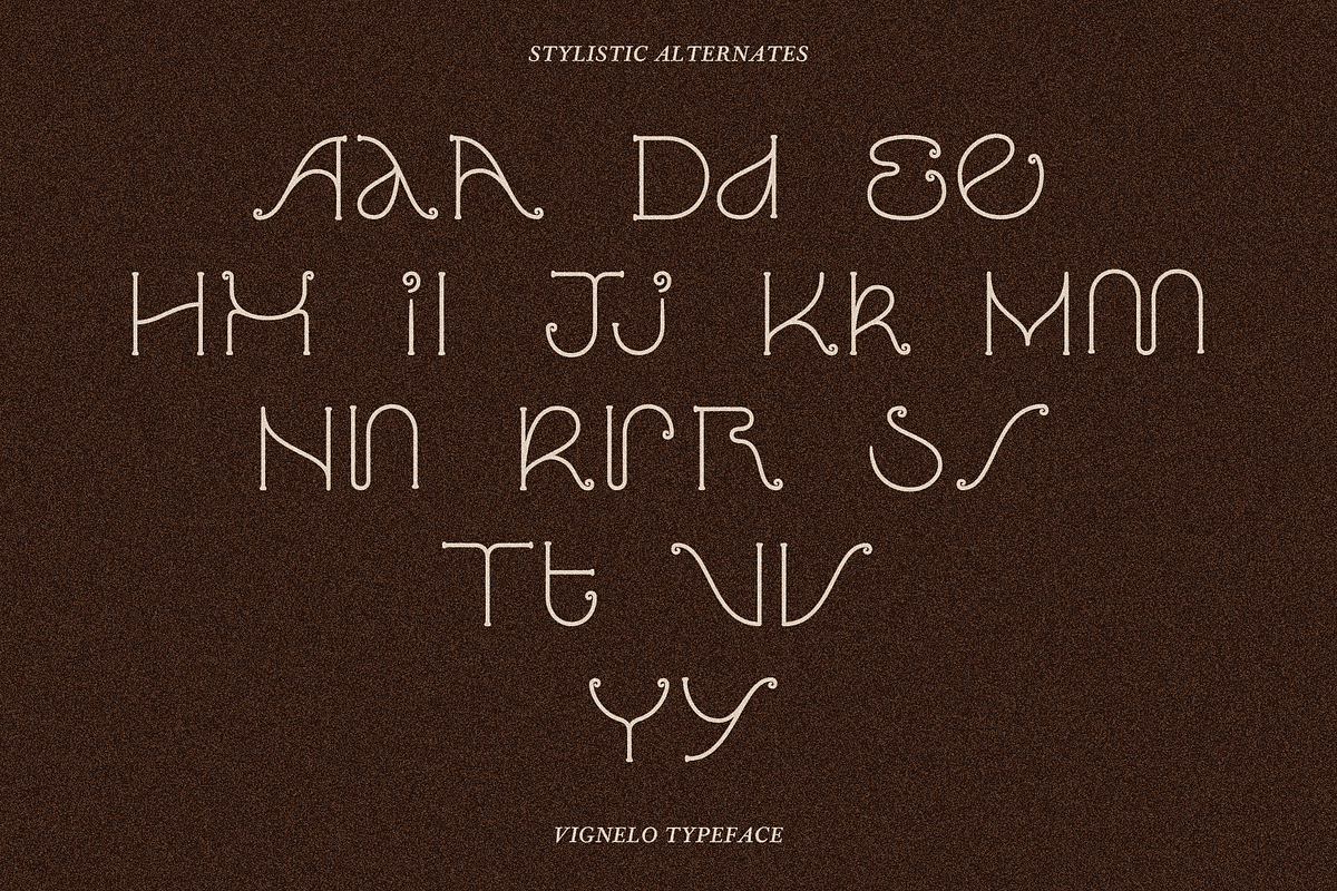 VIGNELO Typeface, a Serif Font by Few & Fahr Studio (Photo 8 of 9)