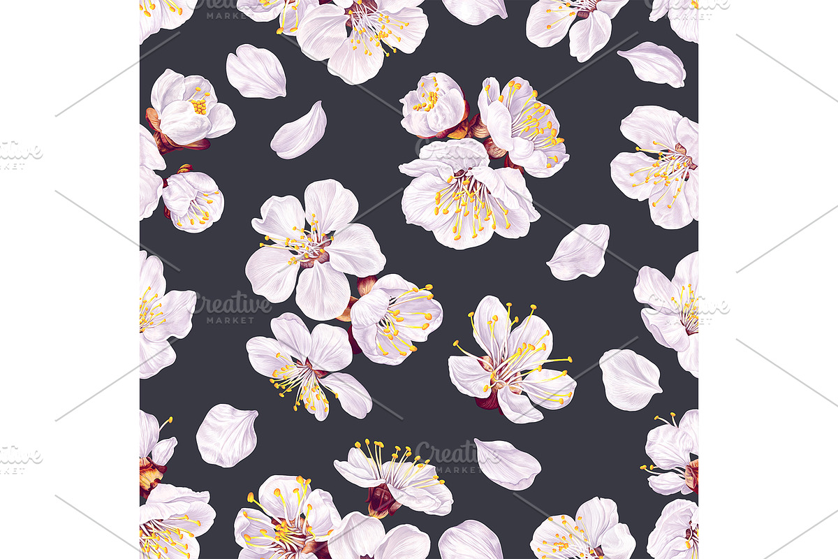 Apricot Branches Big Floral Set, an Illustration by MarynaPetrovska (Photo 4 of 23)