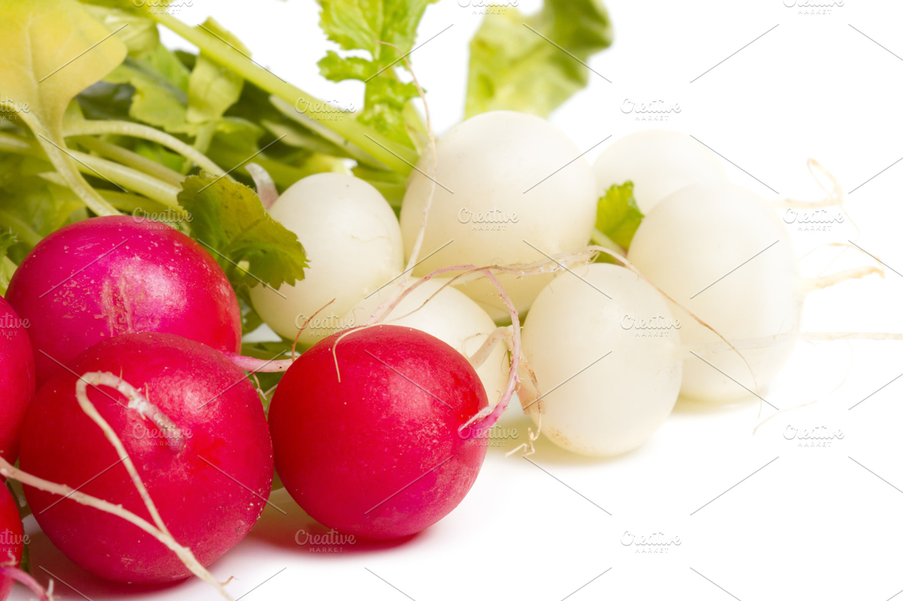 Radish stock photo containing agriculture and background, a Food & Drink Photo by Anna Moskvina