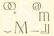 Allenia Serif - Modern Font, a Serif Font by Youthlabs Studio (Thumbnail 9 of 21)