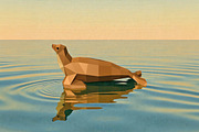 Sea Lion - 3d papercraft, a Card Template by PAPER amaze (Thumbnail 4 of 5)