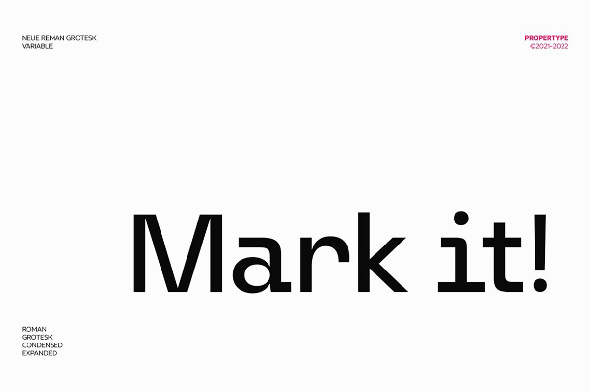 Neue Reman Grotesk, a Sans Serif Font by Propertype (Photo 2 of 14)
