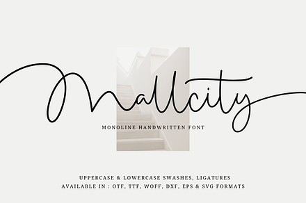 Mallcity - Monoline Script, a Script Font by Sronstudio