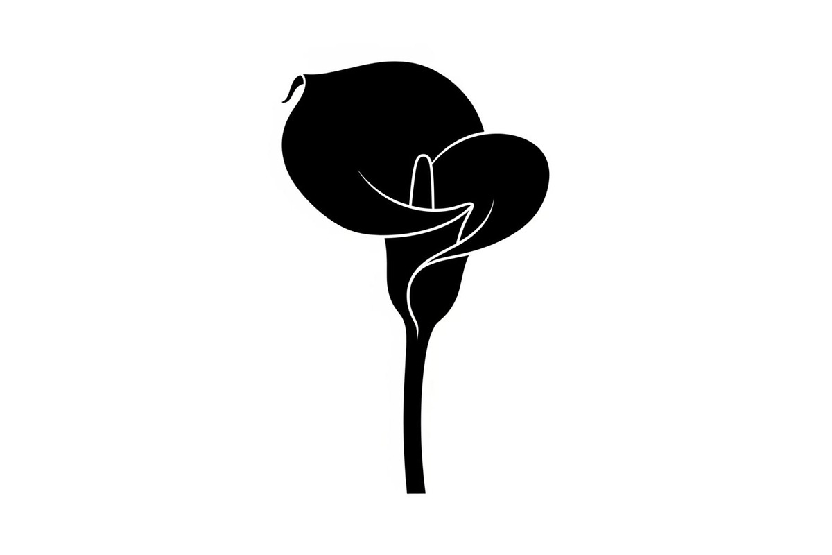 Black Lily Flower Vector Bundle, an Illustration by Designs_River (Photo 26 of 51)