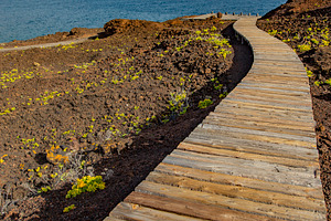 wooden road to the sea, a Photo by Pictures for you!!!!!!!!!